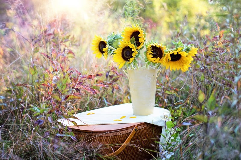 Paper Flower Backdrop